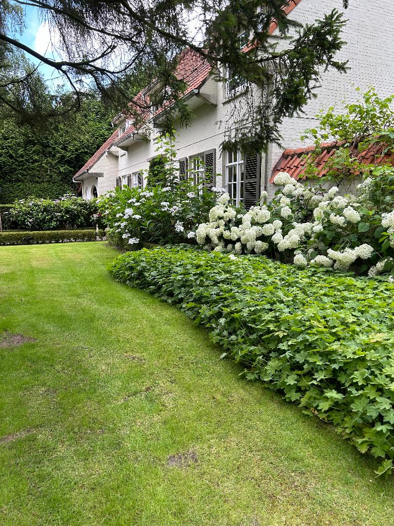 Immo, Immo, 5 kamers, S’Gravenwezel, Vrijstaande woning, Provincie Antwerpen