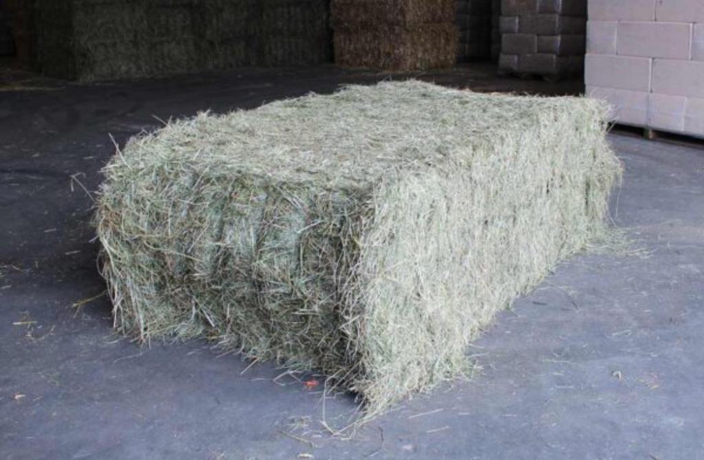 Hooi voor paarden, Ophalen