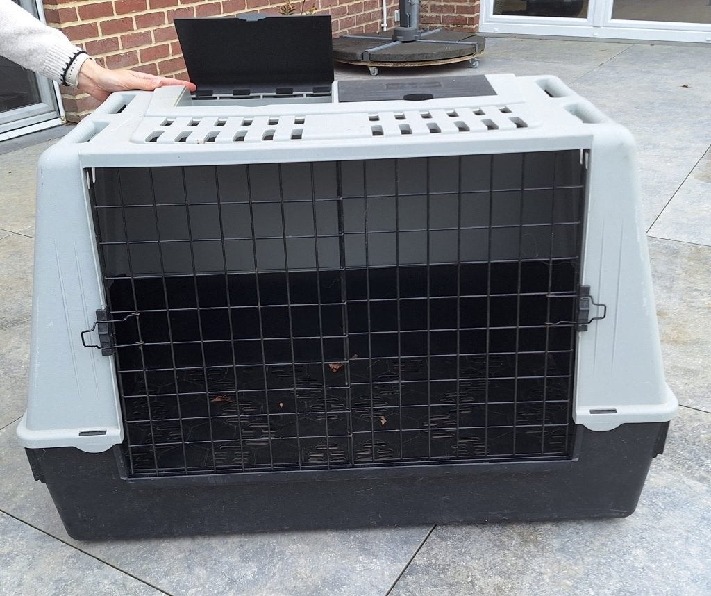 Cage pour transporter votre  chien, Animaux & Accessoires, Enlèvement, Utilisé