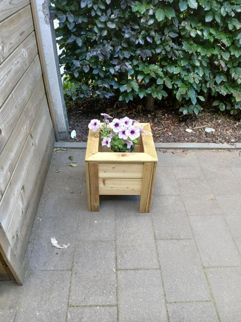 Mooie stevige bloem bakken, Ophalen