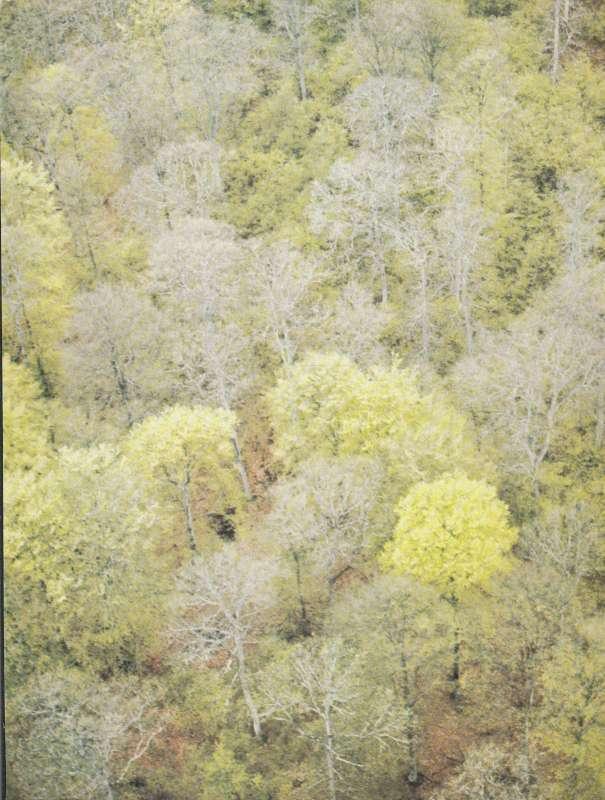 boek Sabena Revue - België Liège – Luxembourg 1973 2, Ophalen of Verzenden, Nieuw, Overige typen