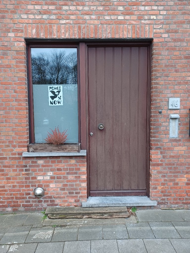 Raam te koop, Ophalen, Gevelraam of Ruit, Gebruikt, 80 tot 120 cm