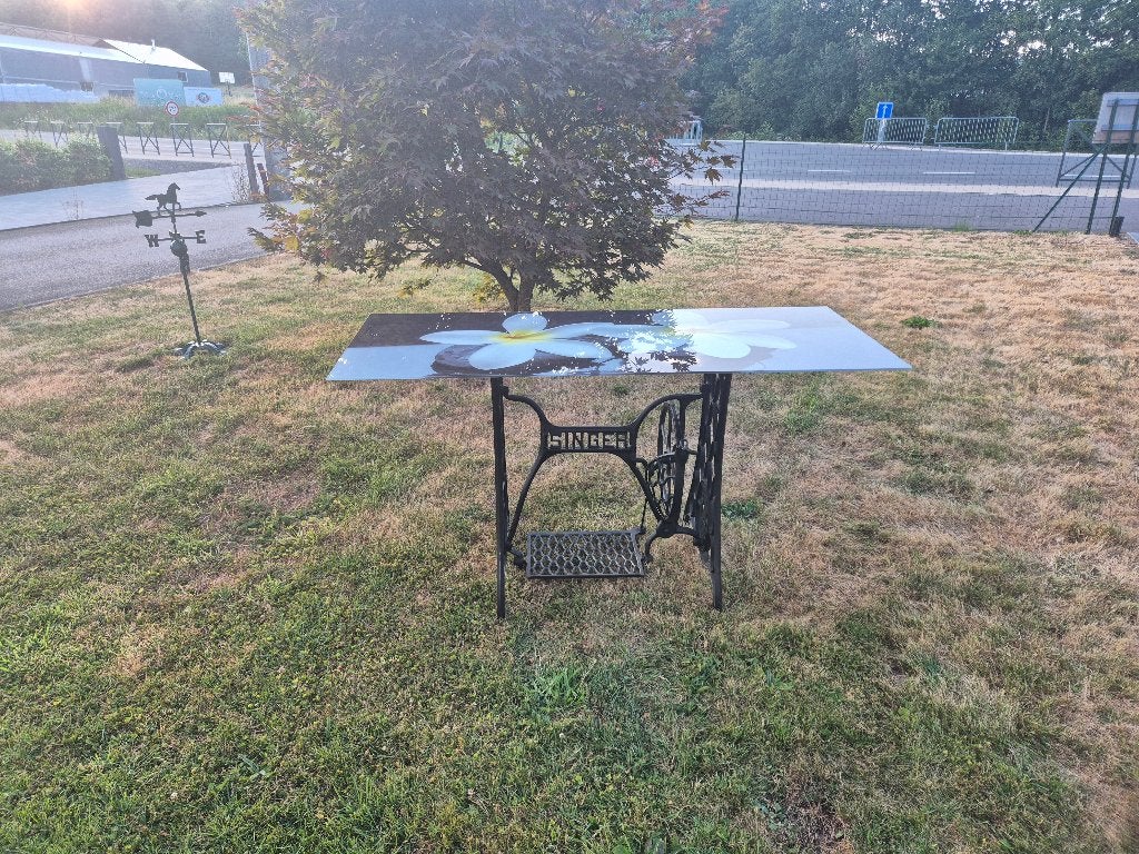 Table avec pied de machine à coudre singer, Enlèvement, Utilisé, 75 cm ou plus, Rectangulaire