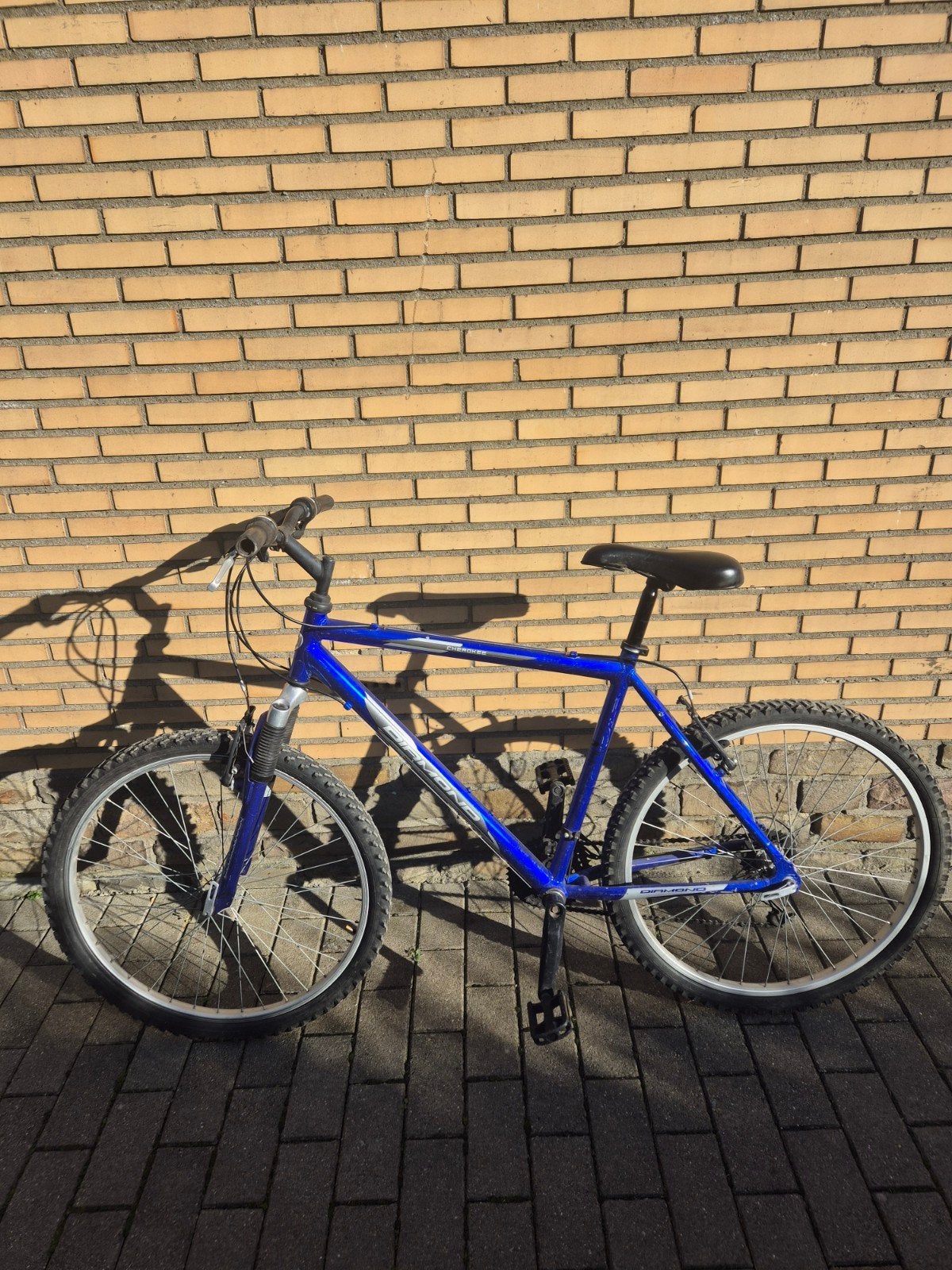 a vendre  vélos vtt homme  bleu, Ophalen
