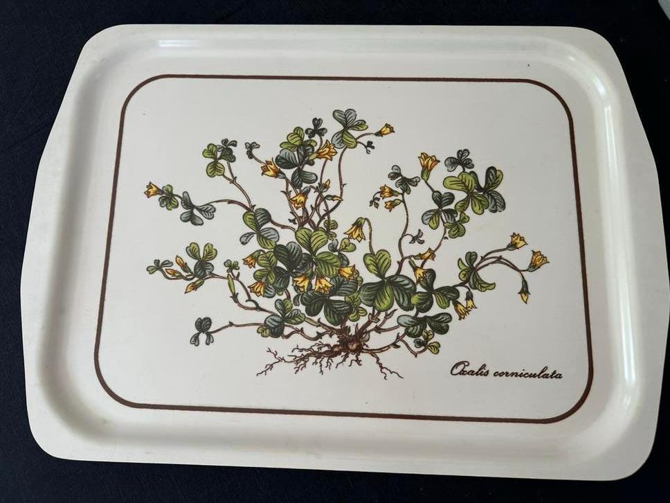 Plateau vintage Villeroy & Boch Botanica, Enlèvement ou Envoi