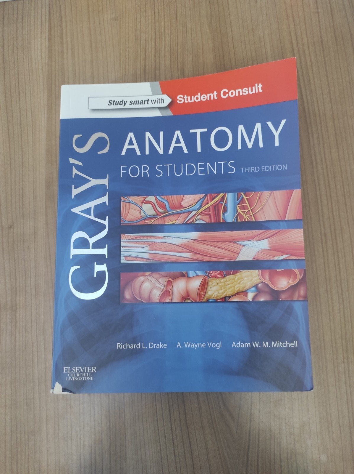 gray's anatomy, Boeken, Ophalen of Verzenden, Gelezen