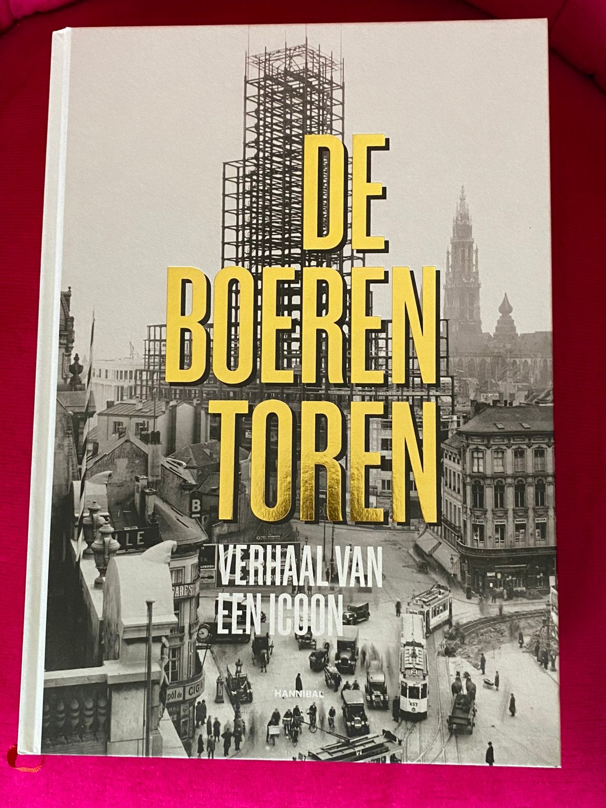 De Boerentoren - Het verhaal van een icoon 📚🅰️, Ophalen of Verzenden, Zo goed als nieuw