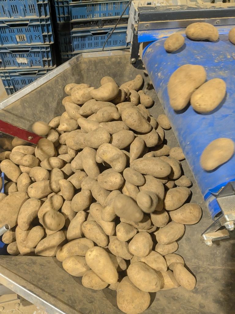 Aardappelen Annabelle, Zakelijke goederen, Ophalen