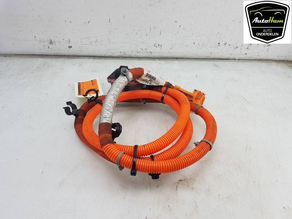 CÂBLE HT (HAUTE TENSION) Range Rover Sport (LW), Dhr. J. Ham, Land Rover, Administratie@autoham.nl, Utilisé