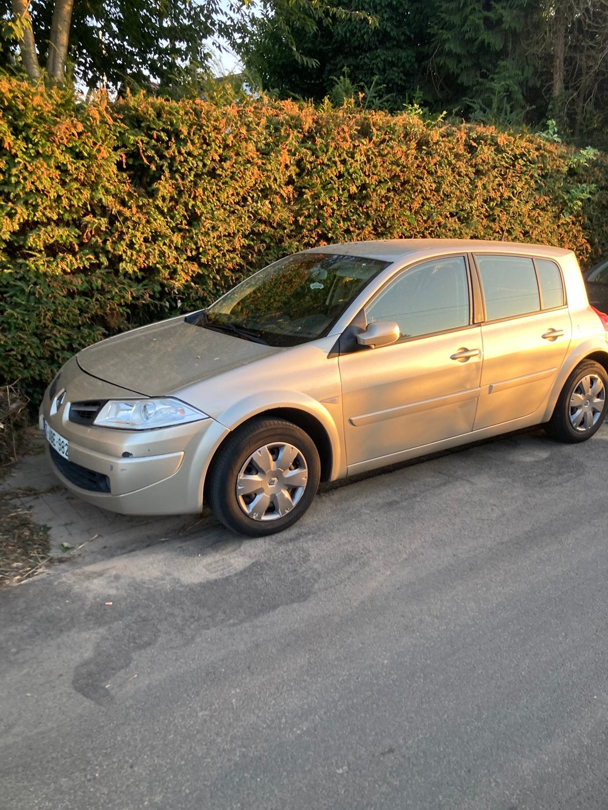 Renault Mégane, Overige kleuren, Particulier, Euro 4, Mégane
