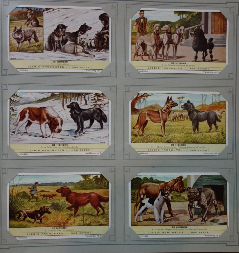 Set Liebig Prenten De honden (1961)., Verzamelen, 1960 tot 1980, Ophalen of Verzenden, Zo goed als nieuw, Dier