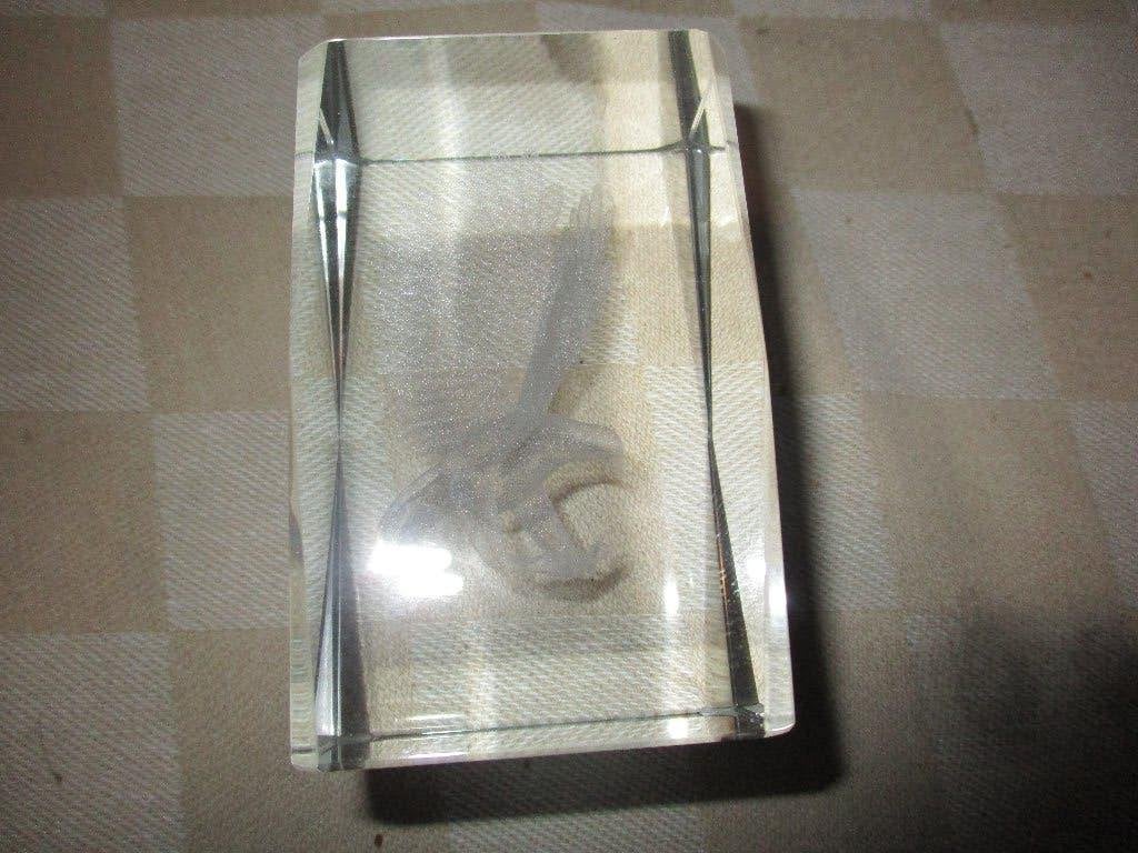 beeldje zware kwaliteit van glas met 3d vogel, Ophalen of Verzenden, Nieuw, Dier