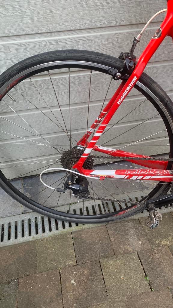 Ridley carbon, Gebruikt, Heren, 15 tot 20 versnellingen, 53 tot 57 cm