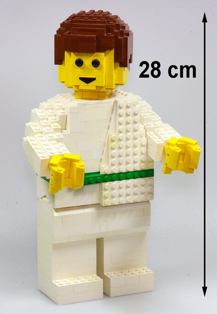 LEGO groot uniek beeld-bouwwerk gegraveerd met 'JENS' op rug, Ophalen of Verzenden, Gebruikt, Overige typen, Lego