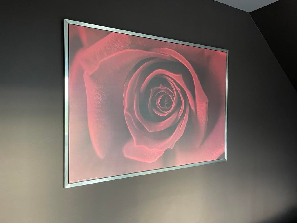 Canvas Rose | Ikea, Enlèvement