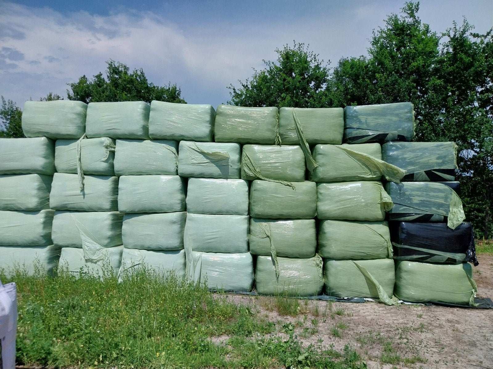 Voordroog 70x120x180, Dieren en Toebehoren, Ophalen of Verzenden
