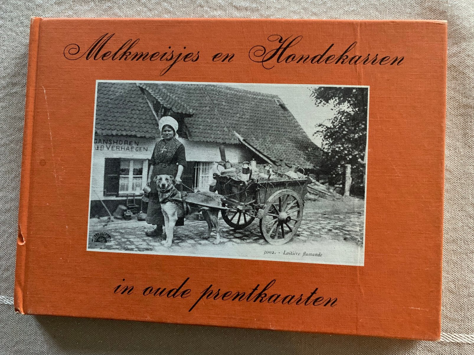 Melkmeisjes en Hondekarren in postkaarten, Ophalen of Verzenden, Nieuw