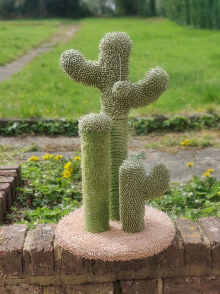 Petit arbre à chat Cactus  55 cm, Enlèvement