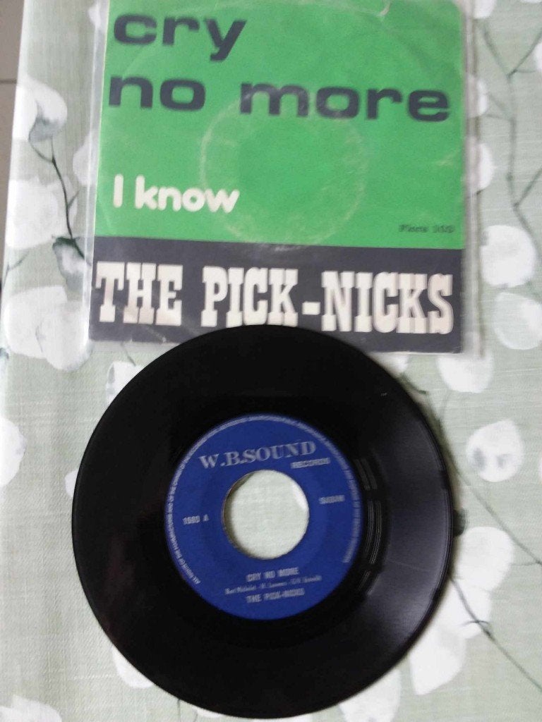 the pick-nicks, Cd's en Dvd's, Ophalen of Verzenden