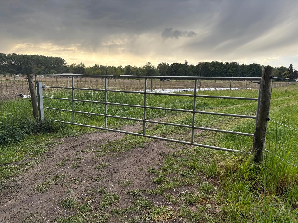 Weide te huur op de Kouter/Nonnenbos, Dieren en Toebehoren, Stalling en Weidegang