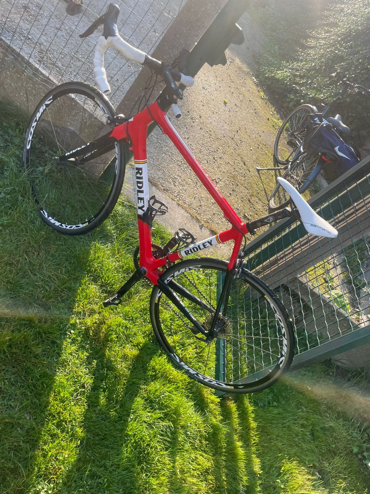 Fiets Ridley, 59 cm of meer, Ophalen, Jaren '60 of nieuwer