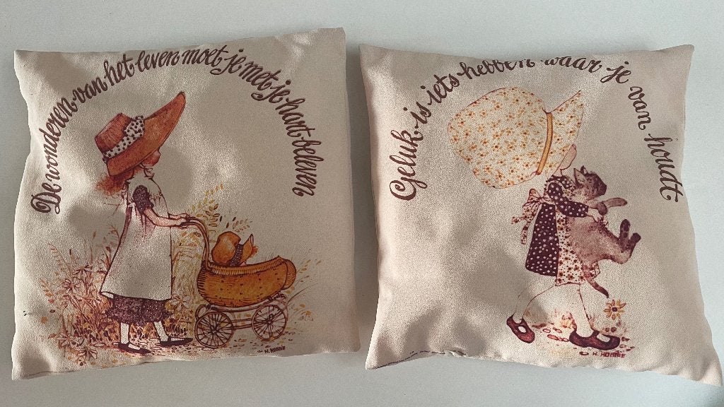 Kussens Holly Hobbie, Enlèvement