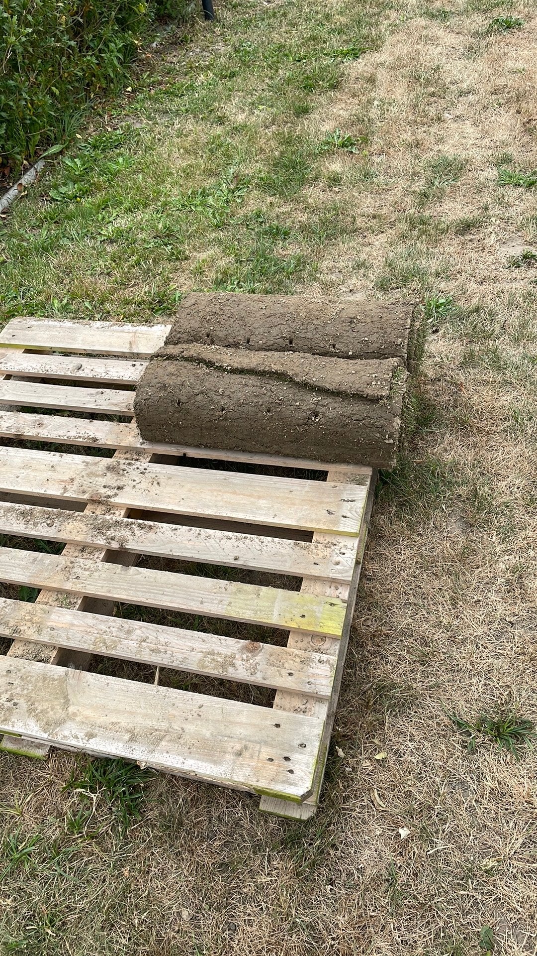 Gratis 2 rollen grasmatten, Jardin & Terrasse, Gazon & Gazon artificiel, Enlèvement, Comme neuf