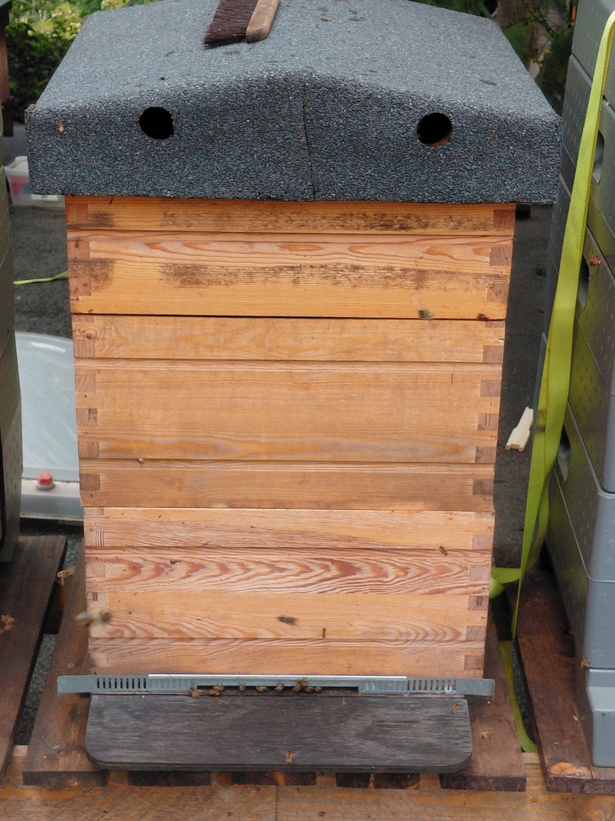 Bijenvolken + kast, Dieren en Toebehoren