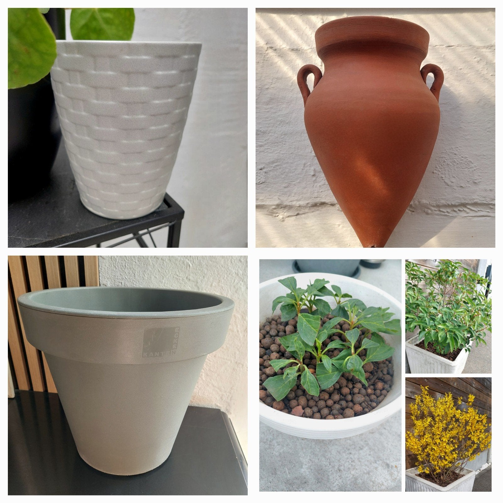 Pot & Plantes, Jardin & Terrasse, Enlèvement