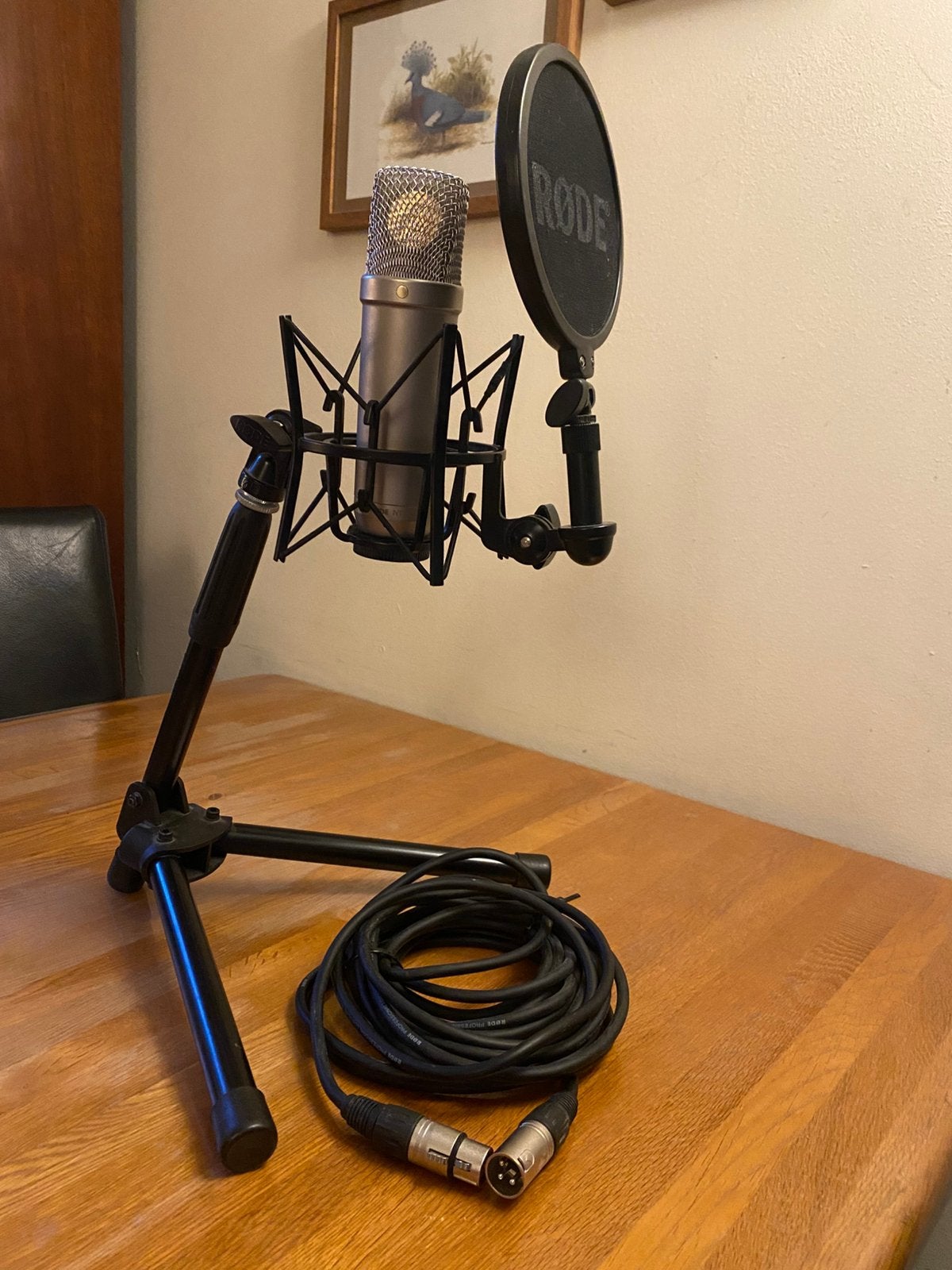 Rode NT1-A, Muziek en Instrumenten, Ophalen of Verzenden, Zo goed als nieuw, Studiomicrofoon