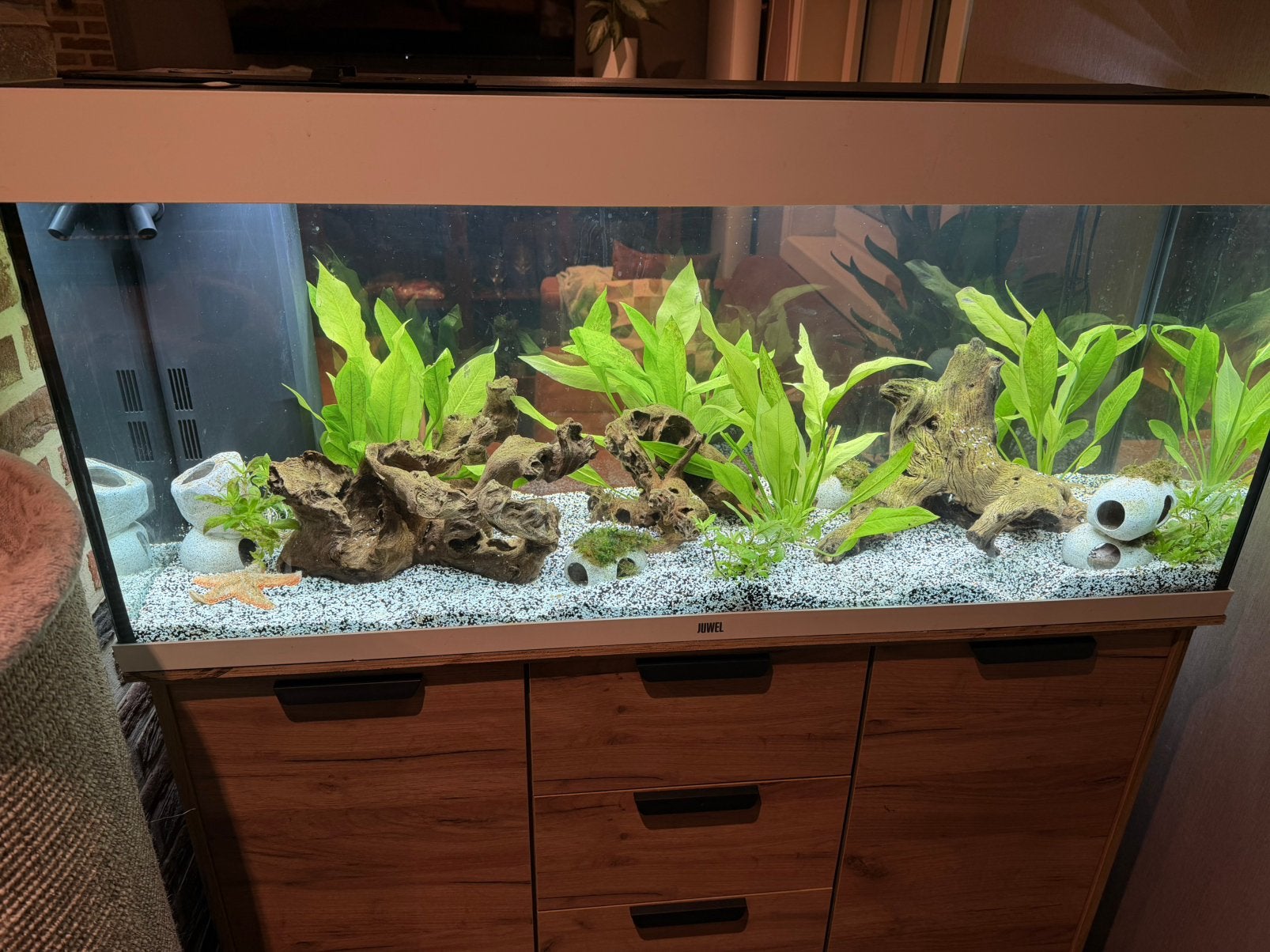 Juwel aquarium, Decoratie, Pompe, Comme neuf, Enlèvement