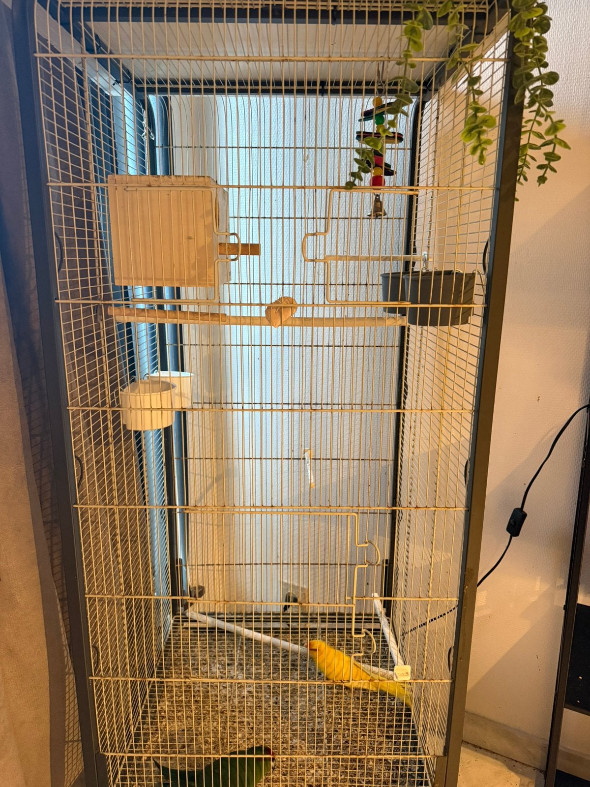Vogelkooi met koppel vogels, Dieren en Toebehoren, Verzenden, Zo goed als nieuw, Aluminium, Volière