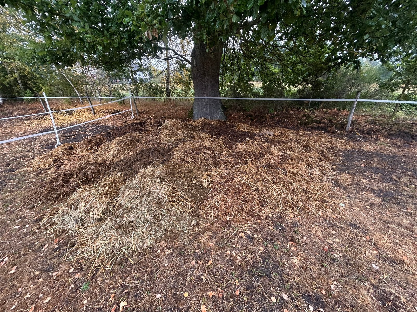 Paardenmest, Tuin en Terras, Aarde en Mest, Ophalen, Mest