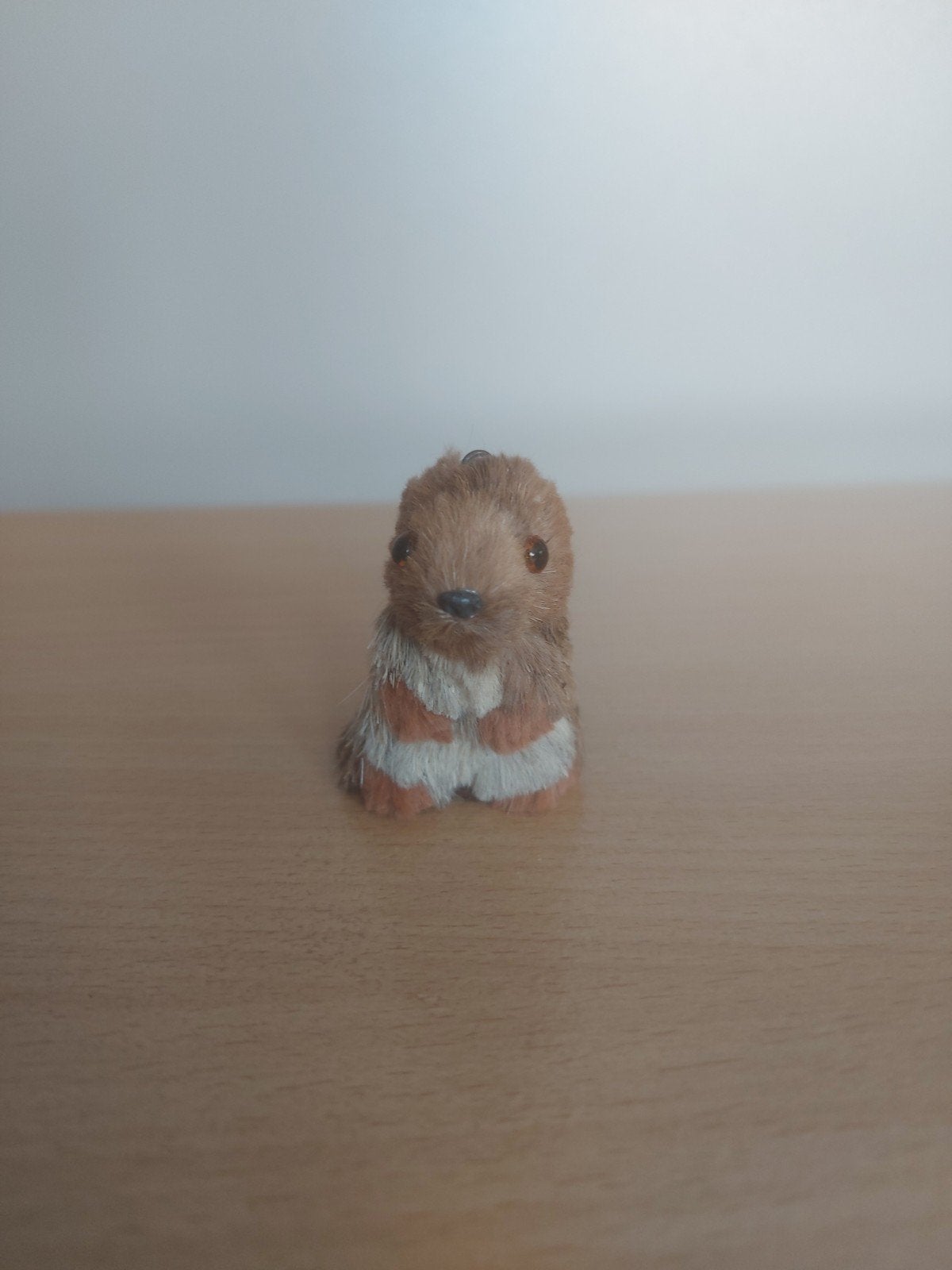 marmotte, Enlèvement ou Envoi