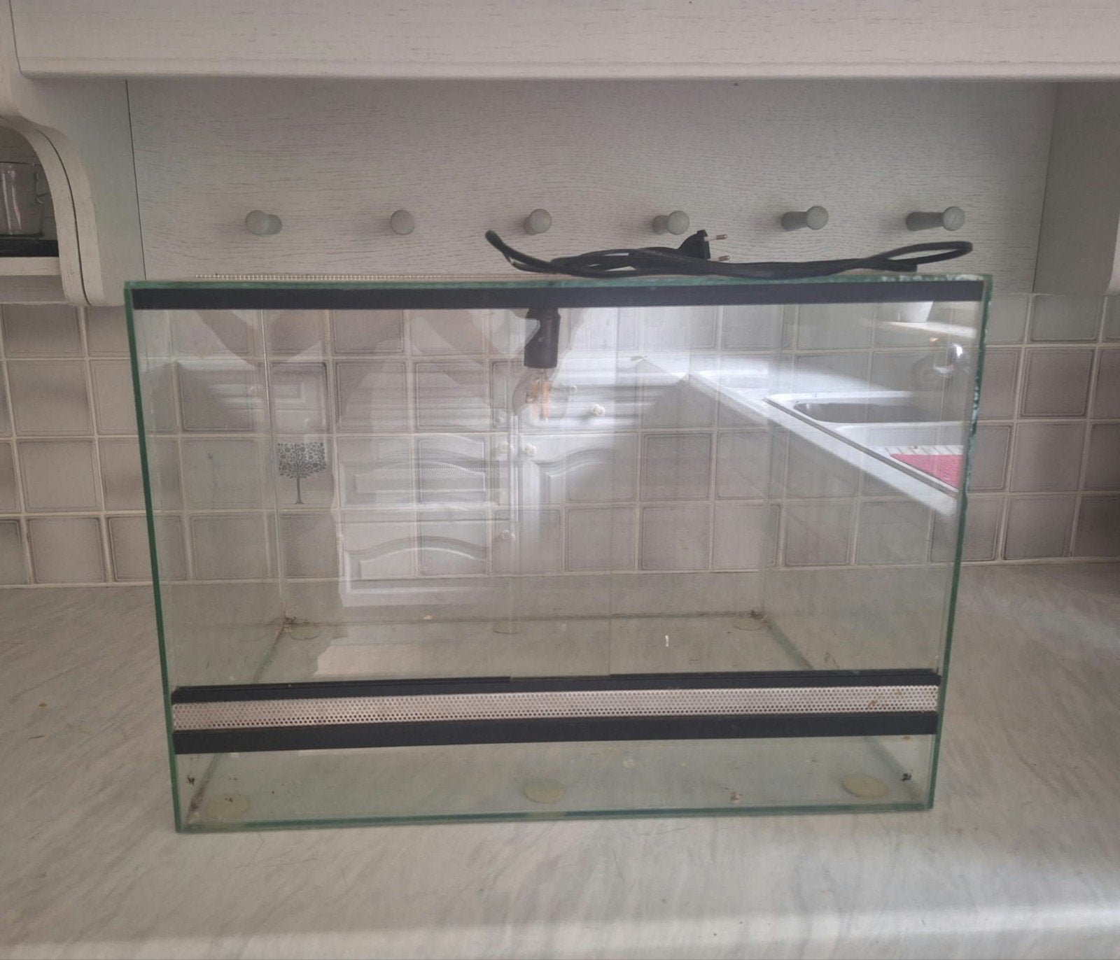 terrarium, Dieren en Toebehoren, Ophalen, Zo goed als nieuw, Terrarium of Paludarium