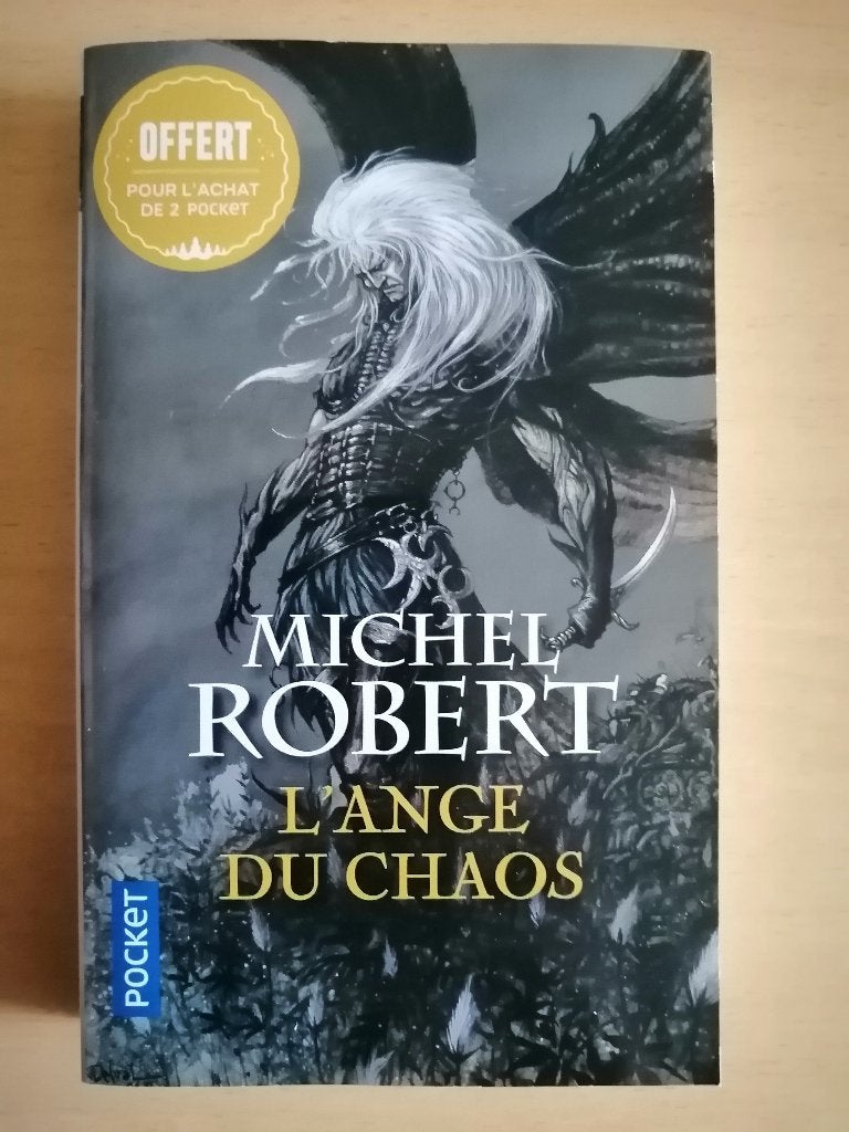 L'Ange du chaos de Michel Robert, Livres, Enlèvement ou Envoi