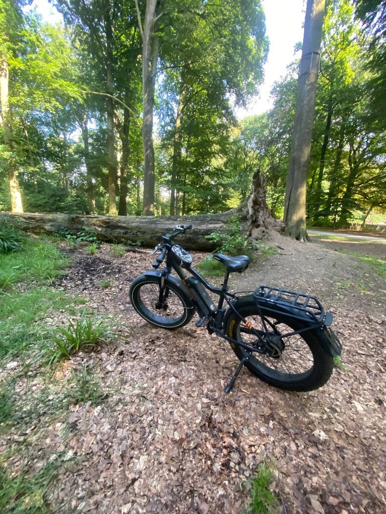 Elektrische fiets, Fietsen en Brommers, Elektrische fietsen, Gebruikt, Ophalen