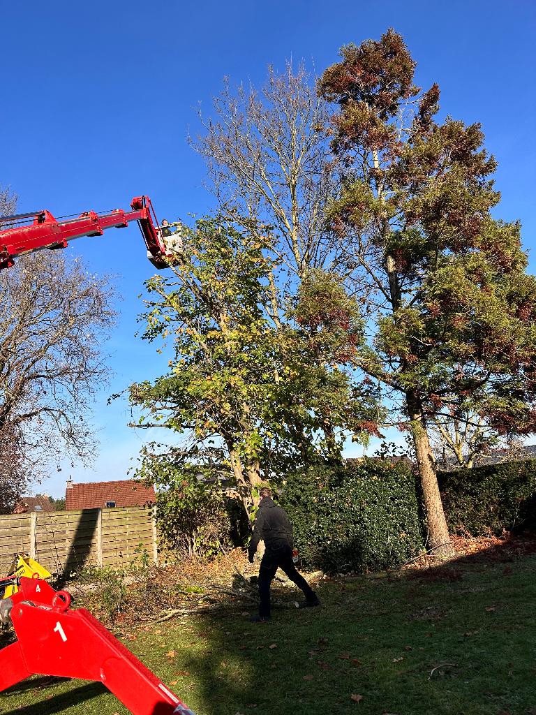 Alg. tuin , groen en grondwerk.