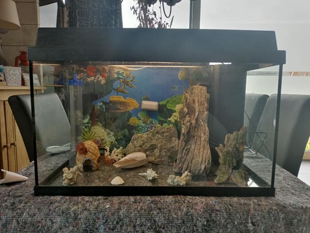 Juwel 60 aquarium met toebehoren en verlichting, Ophalen, Gebruikt, Verlichting of Verwarming, Juwel