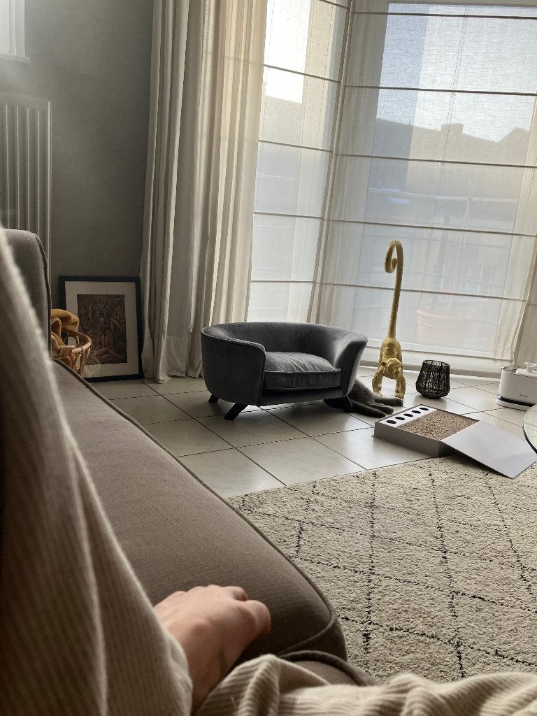 Luxe kattenzeteltje/sofa in velvet grijs - zo goed als nieuw, Ophalen, Zo goed als nieuw, Overige