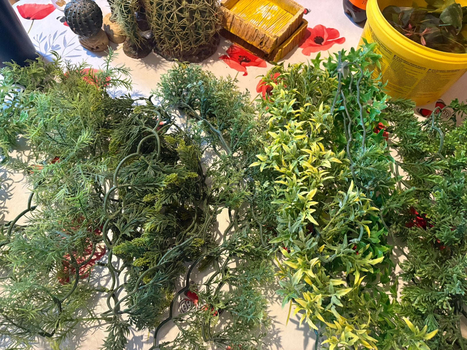 7 nepplanten, Ophalen, Nieuw, Tak, Plant, Rots of Steen