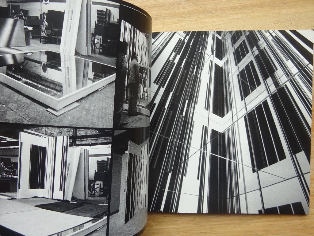 Luc Peire's environment 2007, Boeken, Beeldhouwkunst, Ophalen of Verzenden, Zo goed als nieuw, Marc Peire