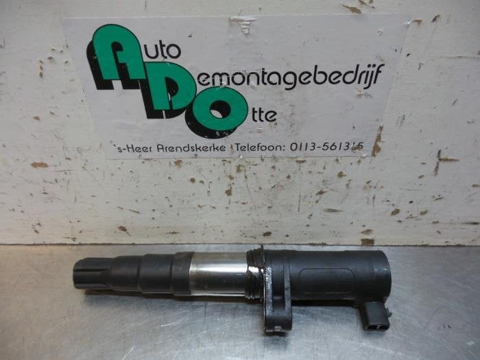 Bobine van een Renault Laguna (Laguna 01-), Gebruikt, -, Renault, -