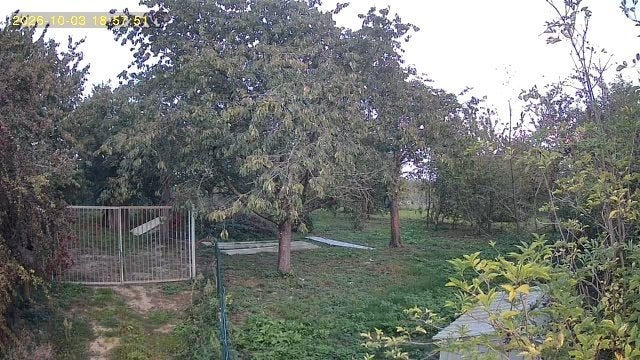 Gratis hout van kersenbomen, Ophalen