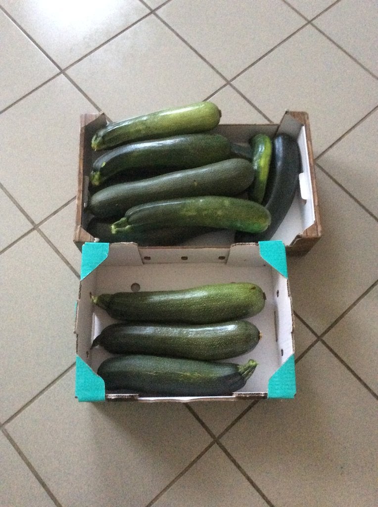Courgettes, Enlèvement