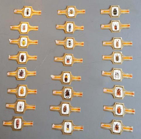24 bagues cigare serie insecte, Ophalen of Verzenden, Gebruikt, Sigarenbandjes