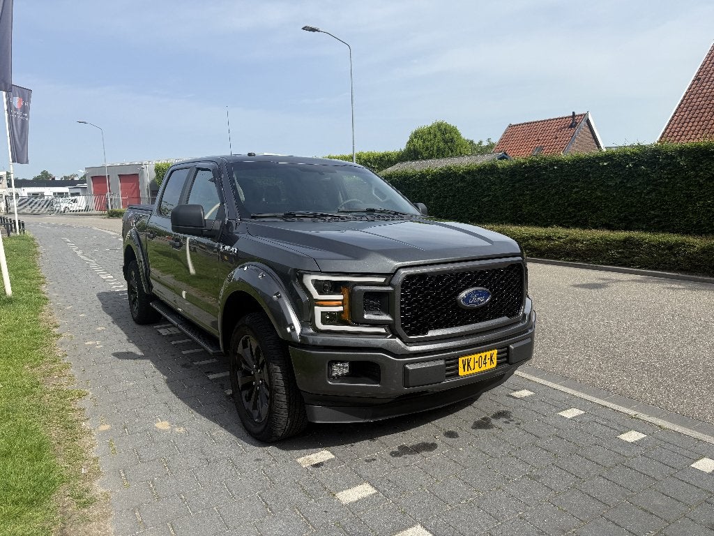 Ford F-150 5.0 V8 | Specialist onderhouden | Zeer compleet, Auto's, Automaat, 4 deurs, 5000 cc, Elektronische parkeerrem