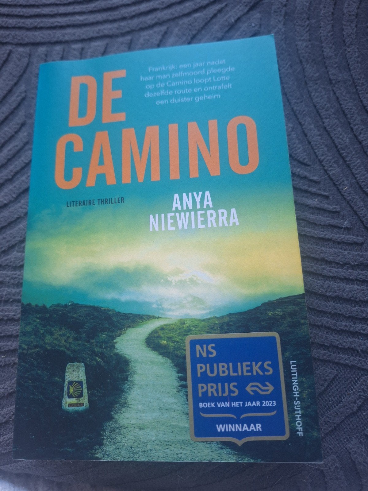 Anya Niewierra - De Camino, Enlèvement, Anya Niewierra