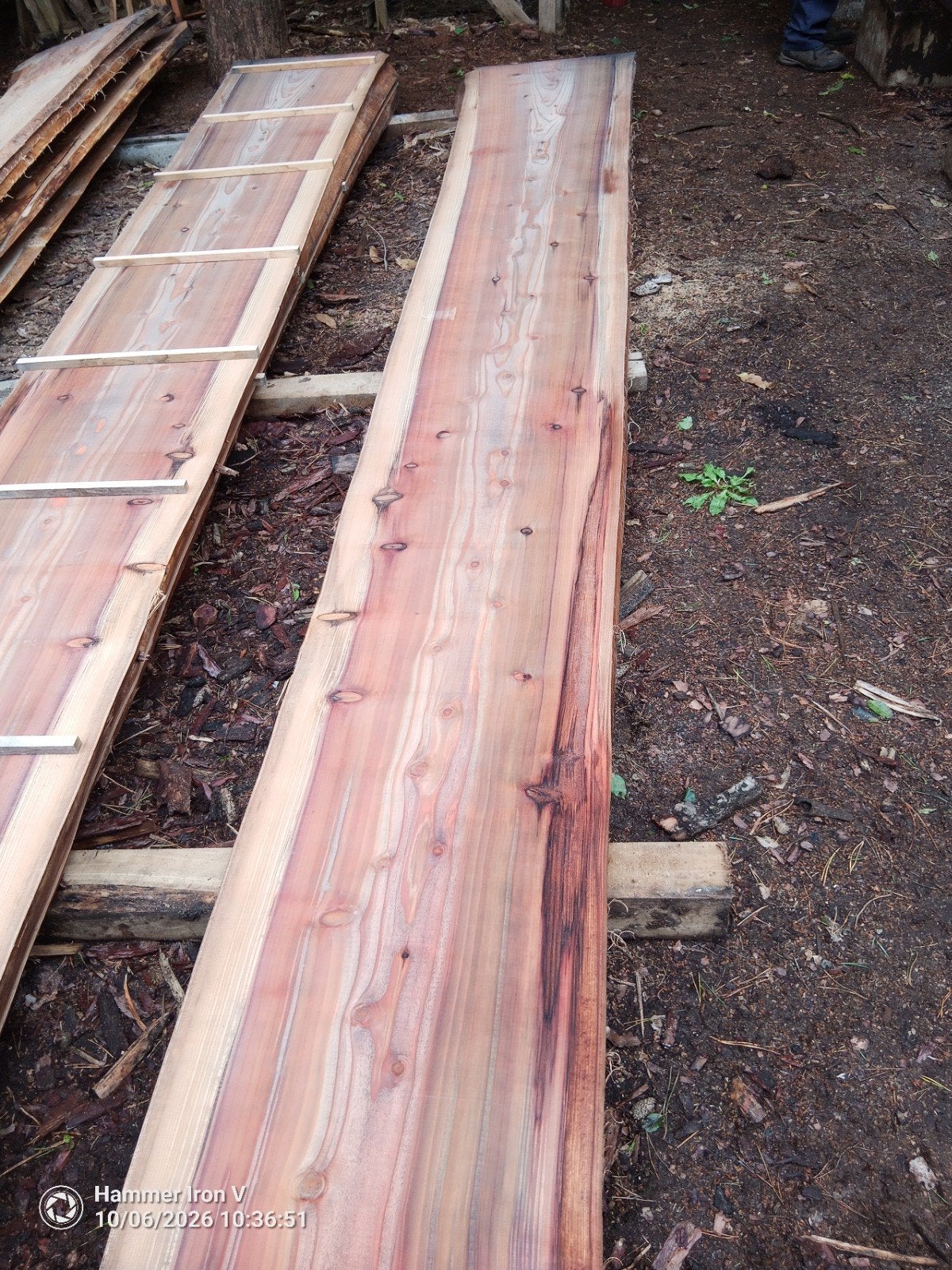Unieke Sequoia boomstamplanken, Jardin & Terrasse, Enlèvement, Planches