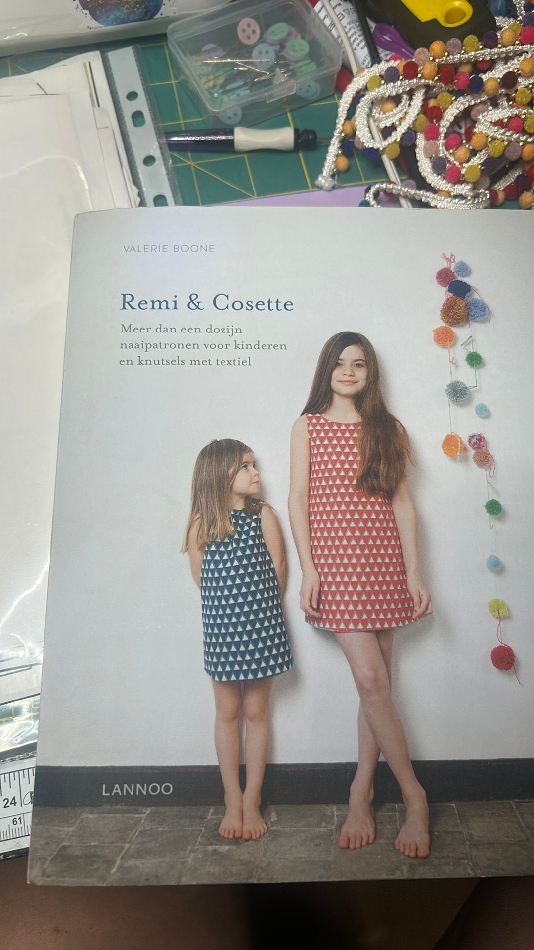 Valerie Boone - Remi en Cosette, Boeken, Ophalen, Nieuw, Valerie Boone